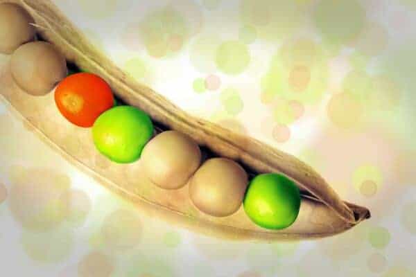 peas 610184 1920