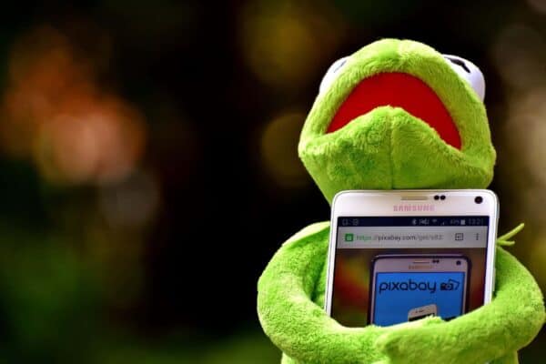kermit 2285599 1920