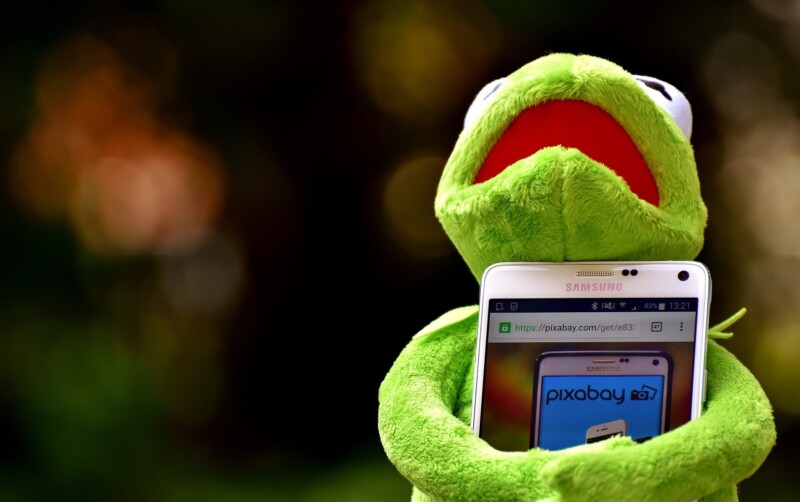 kermit 2285599 1920