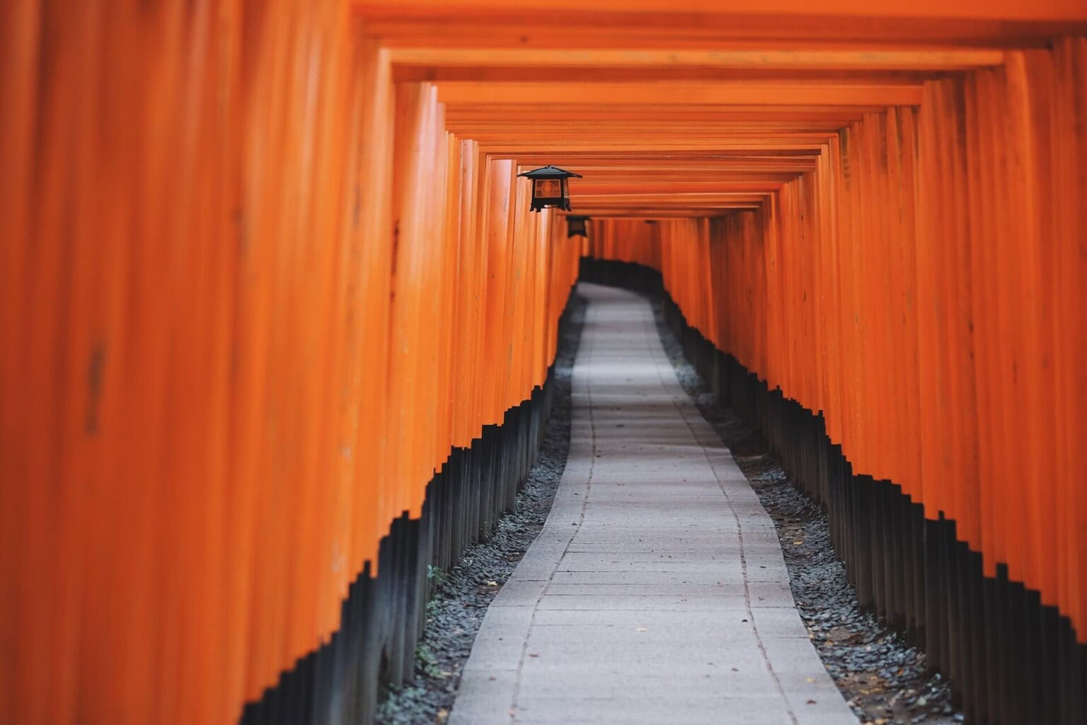 path 1150070 1920