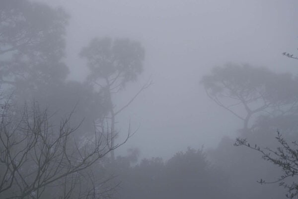 fog 2363940 1920