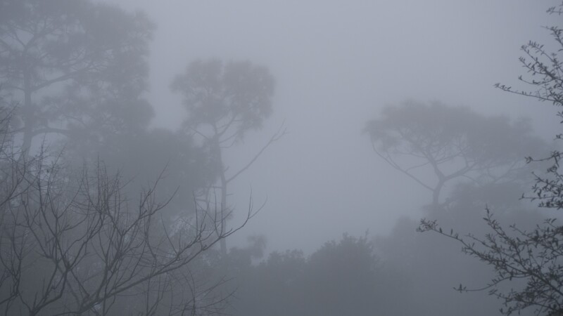 fog 2363940 1920
