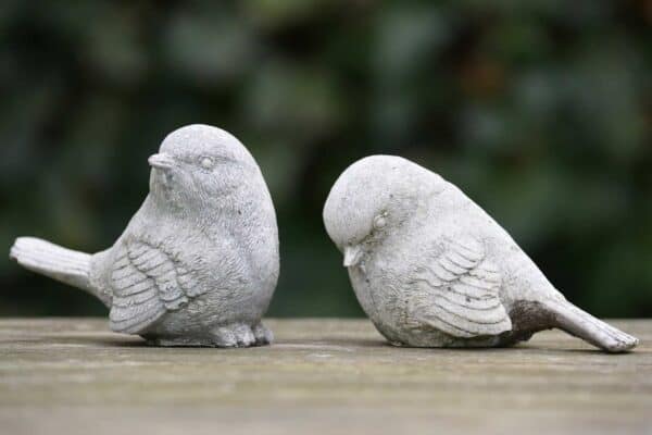 birds 276191 1920