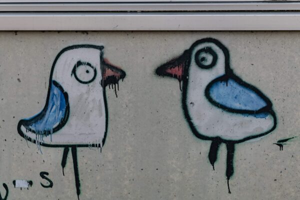 Vogelgespräche