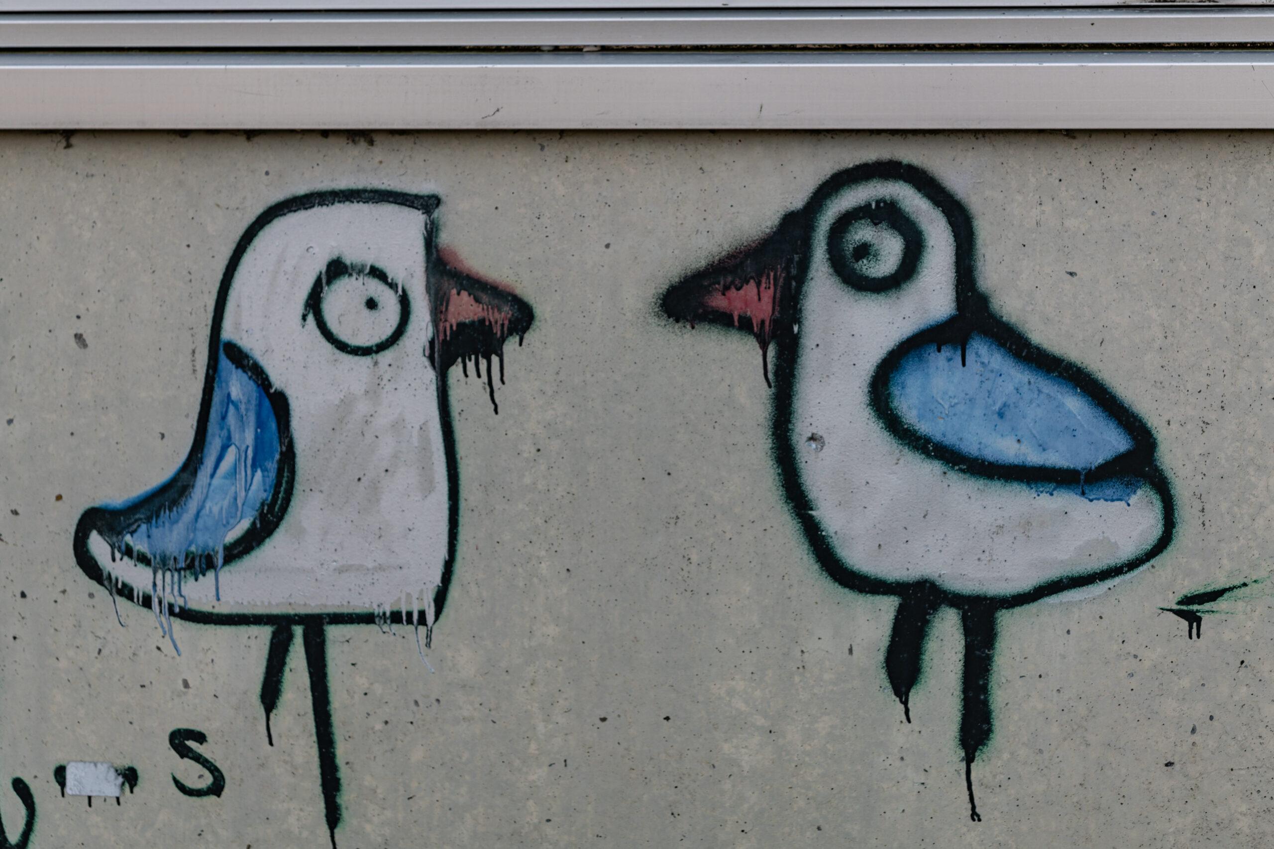 Vogelgespräche