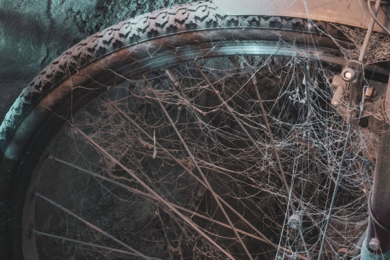 801 4834