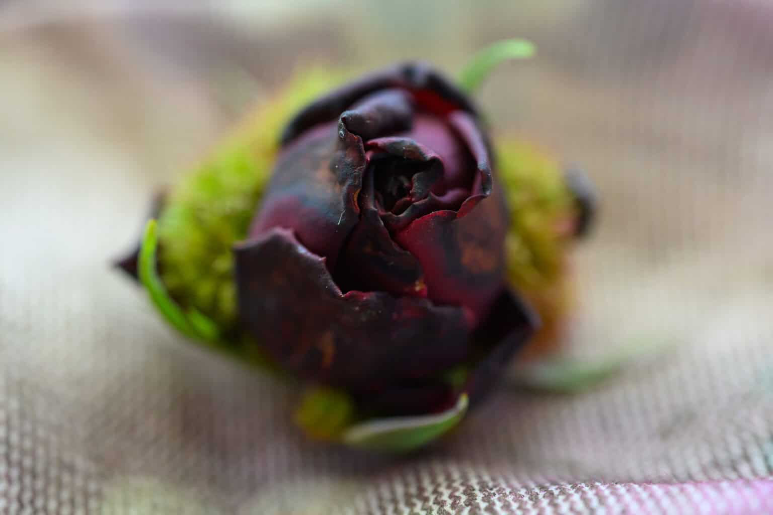 abgefallen