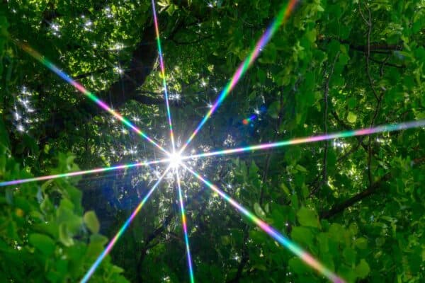 Sunburst