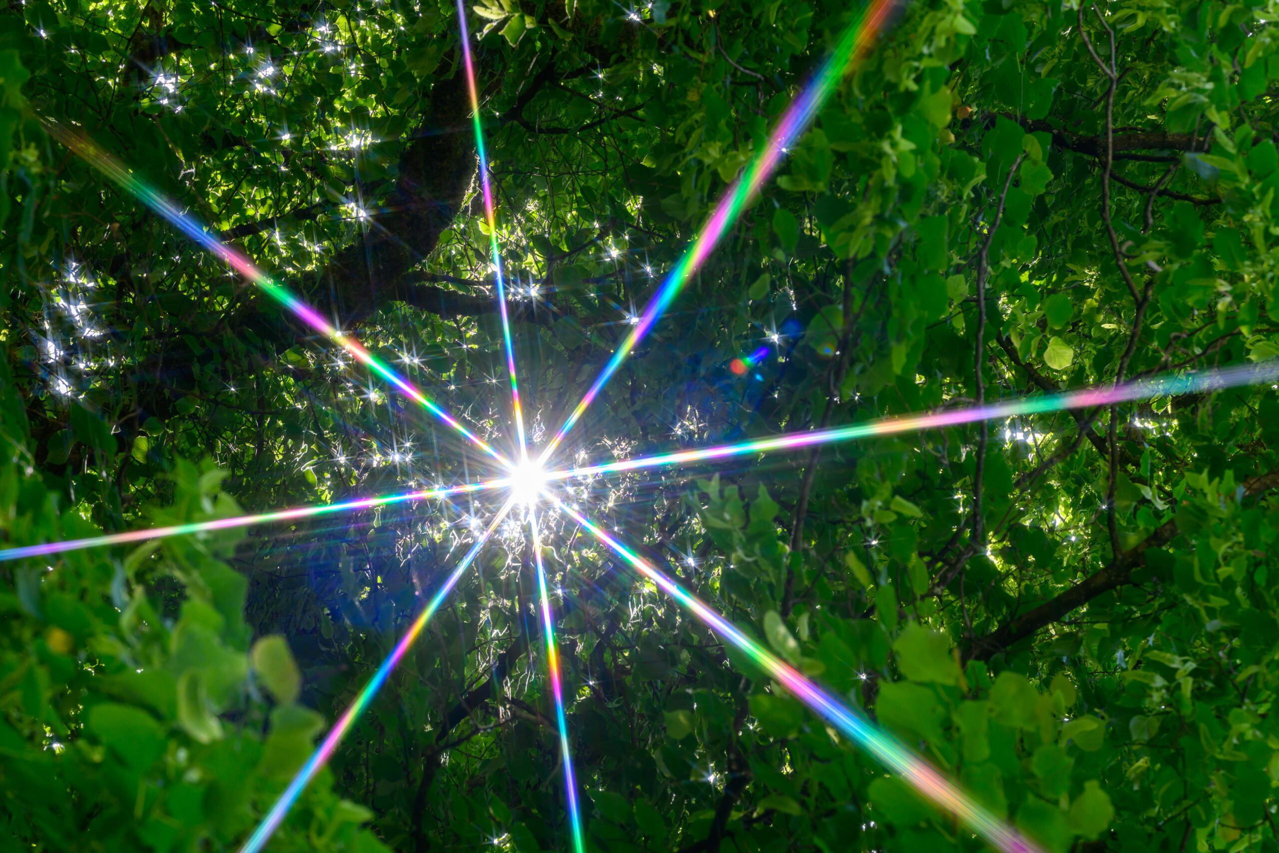 Sunburst