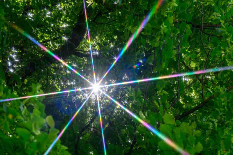 Sunburst
